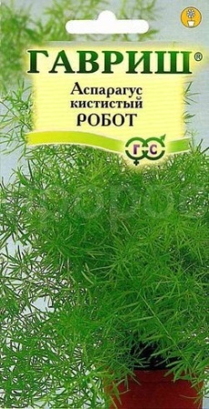Аспарагус кистистый Робот 0,2г