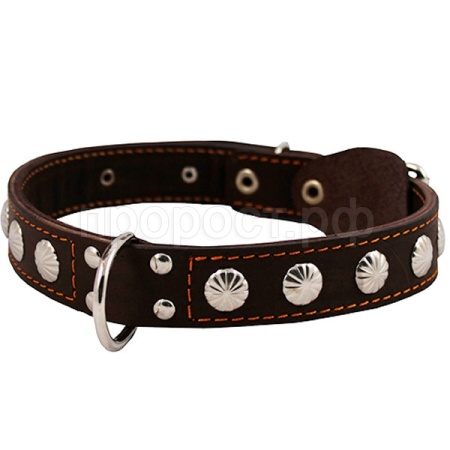 Ошейник кожа 45мм двойной с украшением и кольцом посередине 57-66см/00045041/Каскад/ Ошейник кожа 45мм двойной с украшением и кольцом посередине 57-66см/00045041/Каскад/
