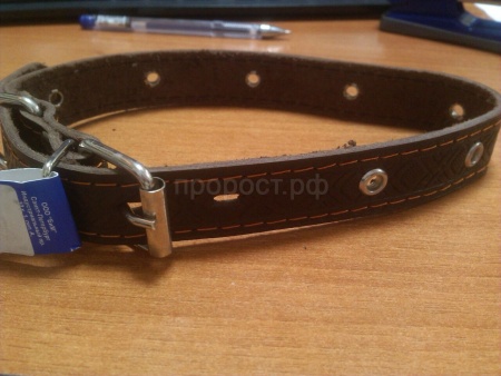 Ошейник кожа 25мм 1слойный безразмерный 53-55см/40700 Ошейник кожа 25мм 1слойный безразмерный 53-55см/40700