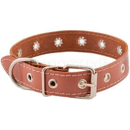 Ошейник кожа 30мм ЧИП натурал кожа простроч.до 52см коричневый/51030кор/Дарэлл Ошейник кожа 30мм ЧИП натурал кожа простроч.до 52см коричневый/51030кор/Дарэлл