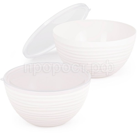 Набор Чаш Оазис (2шт) с крышкой белый (2,5л 4л) М8716 /12шт/ Альтерн