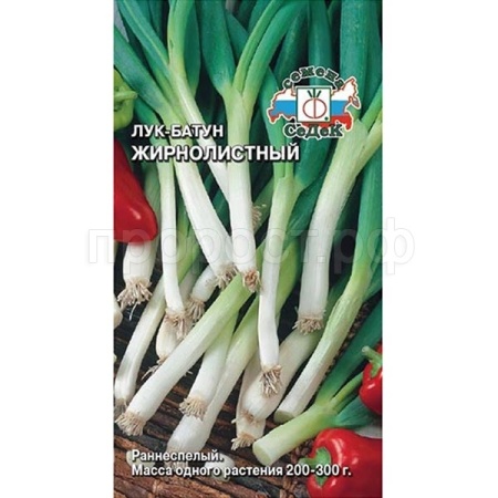Лук батун Жирнолистный 1г
