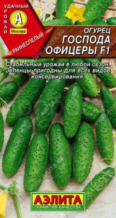 Огурец Господа офицеры F1 10шт