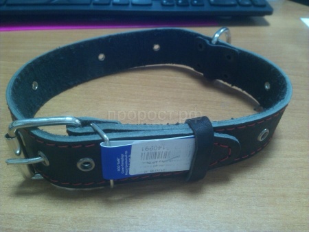 Ошейник кожа 35мм 1слойный безразмерный 63-65см/40991 Ошейник кожа 35мм 1слойный безразмерный 63-65см/40991