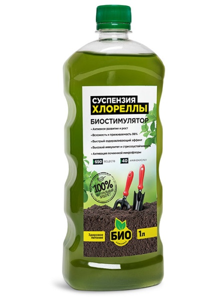 Суспензия Хлореллы 1л Суспензия Хлореллы 1л