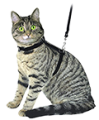 Амуниция для кошек Амуниция для кошек