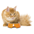 Корма для кошек Корма для кошек